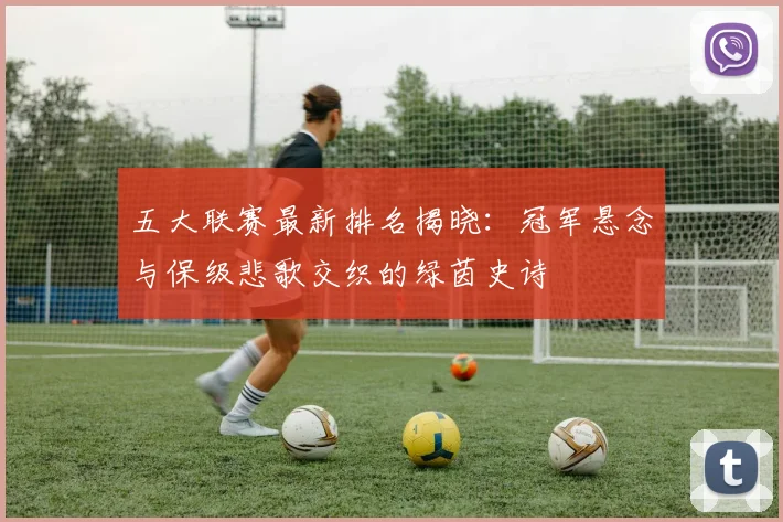 五大联赛最新排名揭晓：冠军悬念与保级悲歌交织的绿茵史诗
