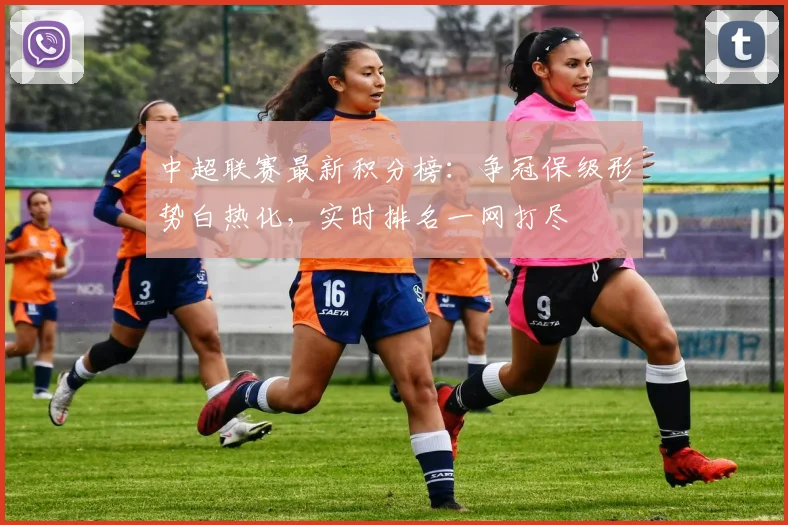 中超联赛最新积分榜：争冠保级形势白热化，实时排名一网打尽